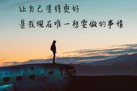 浈江背景调查